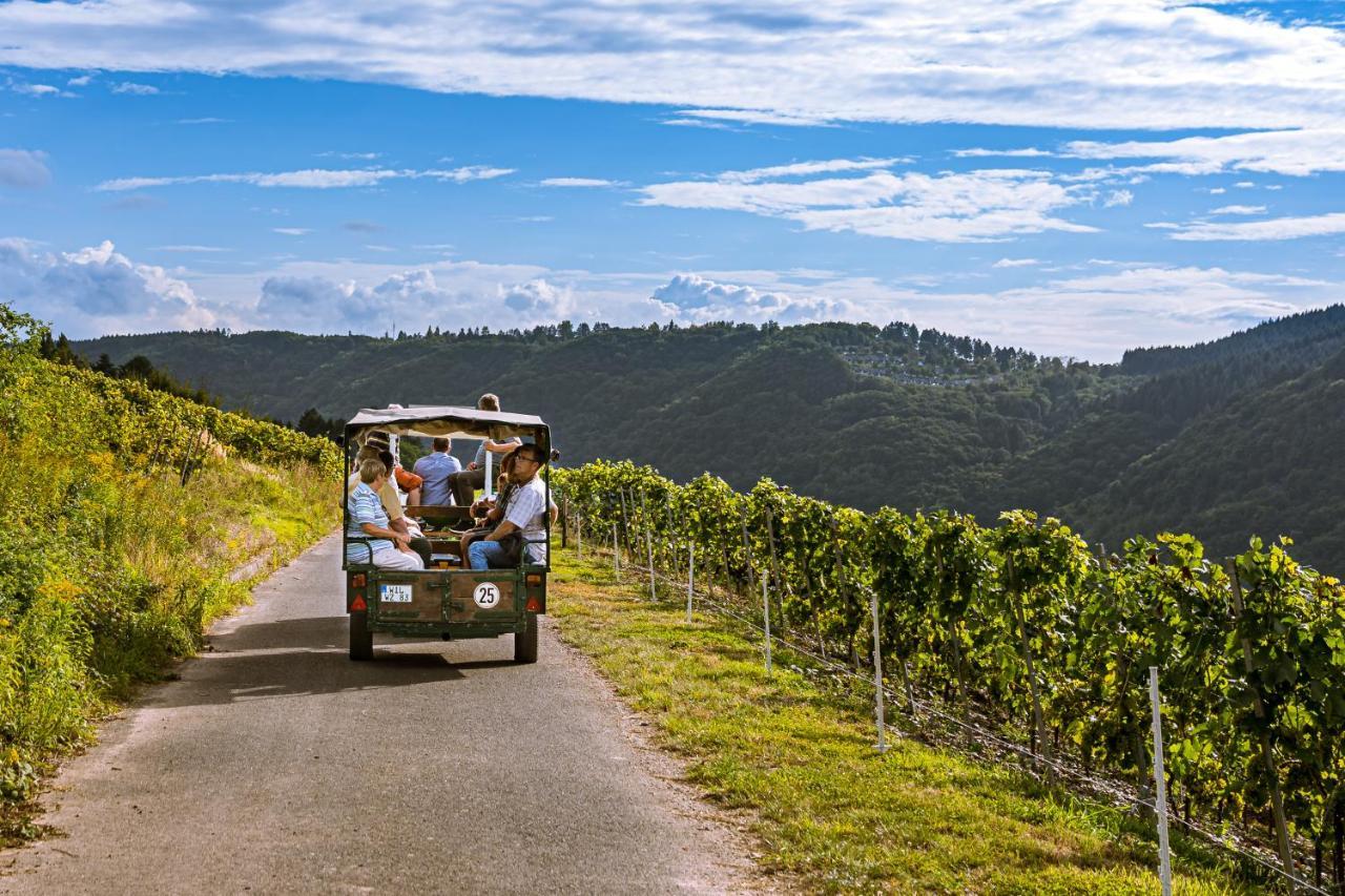Burg  Ferienweingut Hirschen Schulstrasse B&B 외부 사진