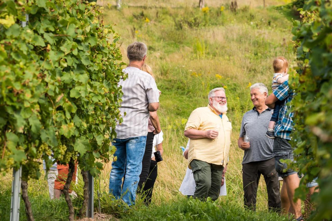 Burg  Ferienweingut Hirschen Schulstrasse B&B 외부 사진