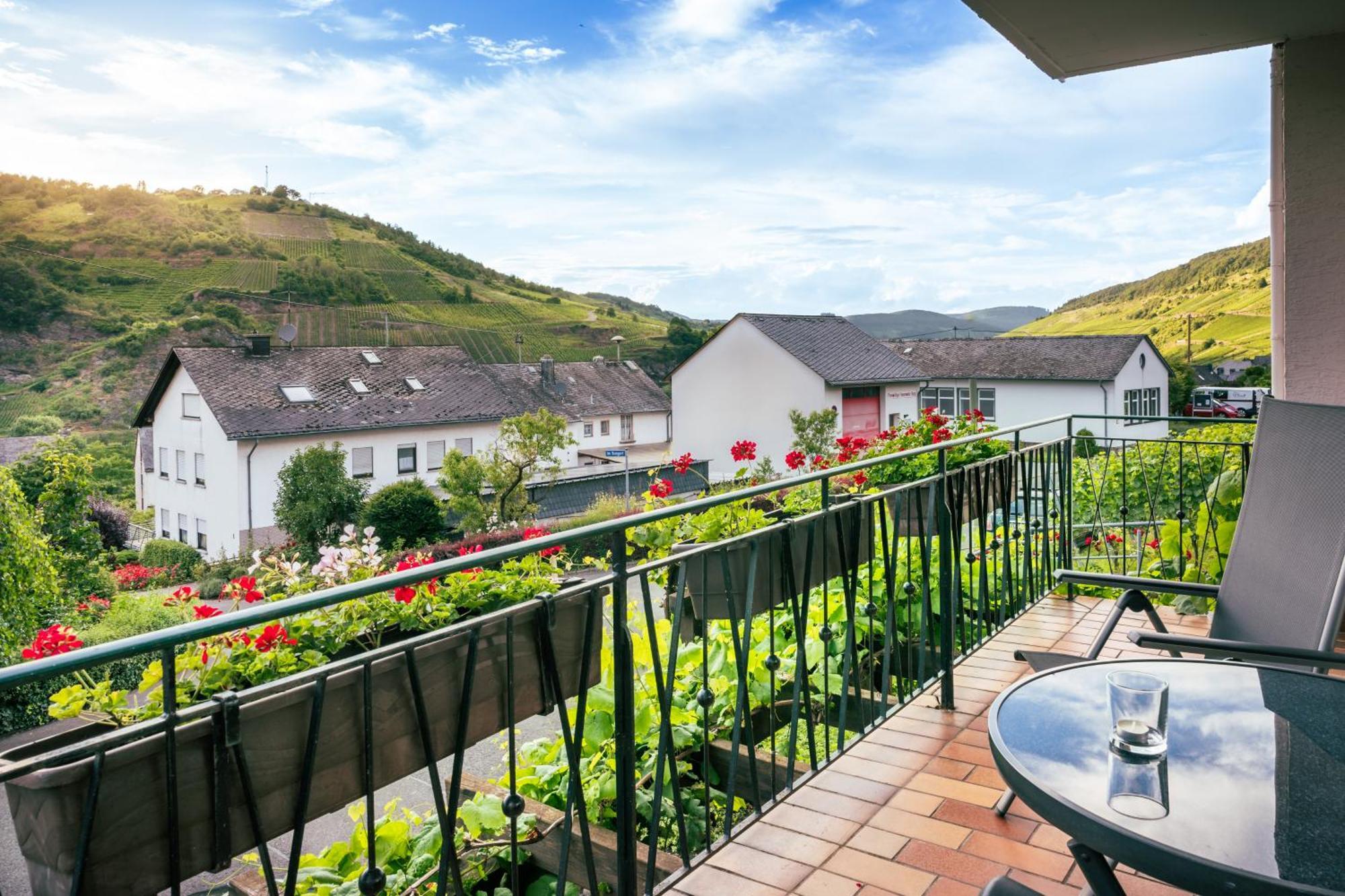 Burg  Ferienweingut Hirschen Schulstrasse B&B 외부 사진