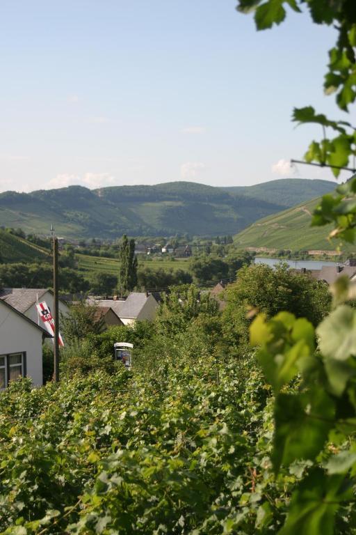 Burg  Ferienweingut Hirschen Schulstrasse B&B 외부 사진