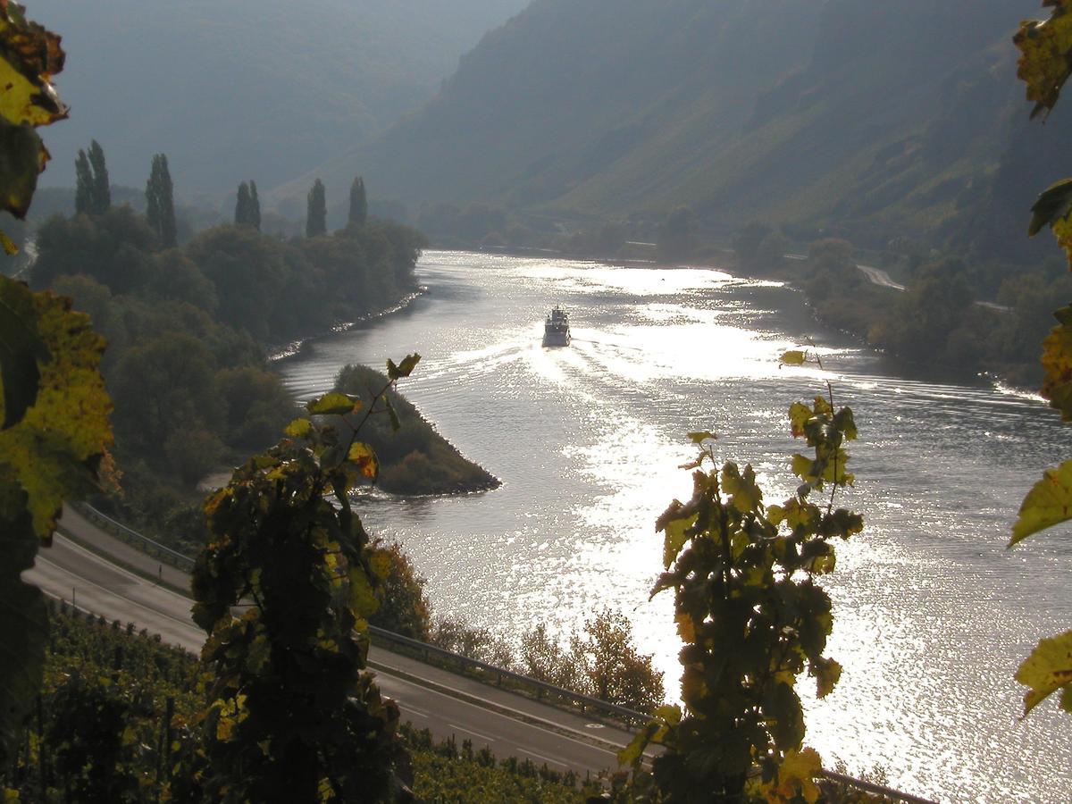 Burg  Ferienweingut Hirschen Schulstrasse B&B 외부 사진