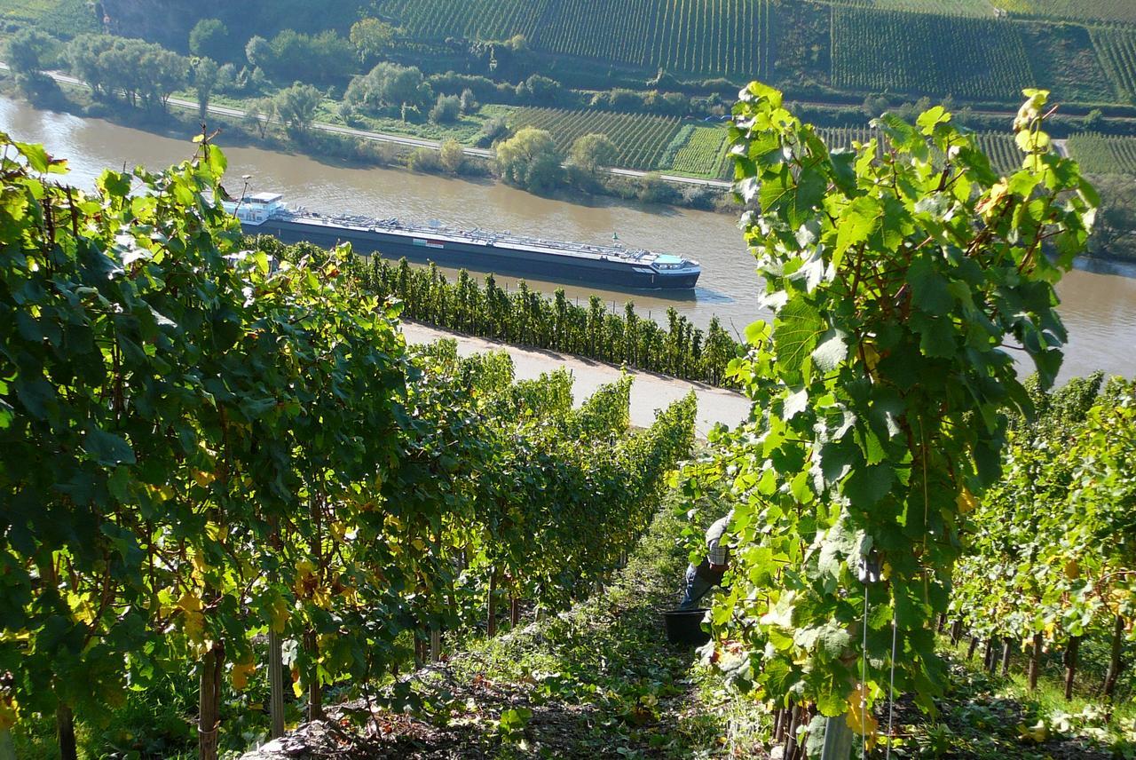 Burg  Ferienweingut Hirschen Schulstrasse B&B 외부 사진